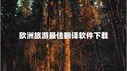 歐洲旅游最佳翻譯軟件下載