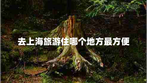 去上海旅游住哪個地方最方便