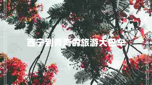 西寧到青海的旅游大巴車