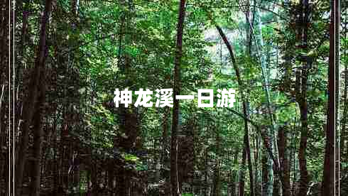 神龍溪一日游