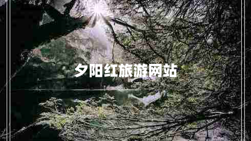 夕陽紅旅游網(wǎng)站