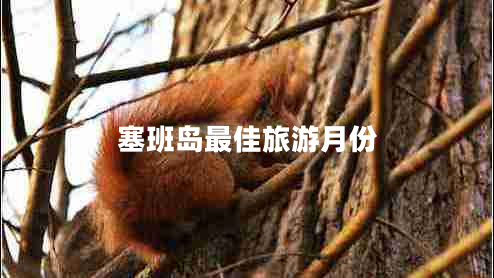 塞班島最佳旅游月份