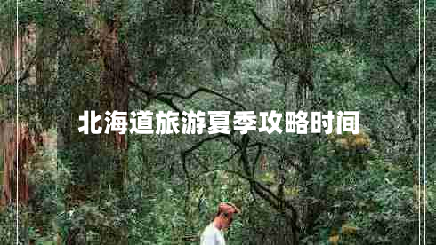 北海道旅游夏季攻略時間