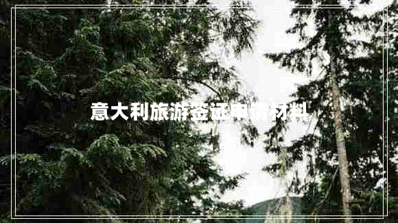 意大利旅游簽證申請(qǐng)材料