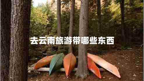 去云南旅游帶哪些東西