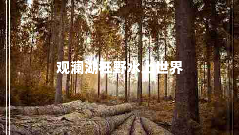 觀瀾湖狂野水上世界