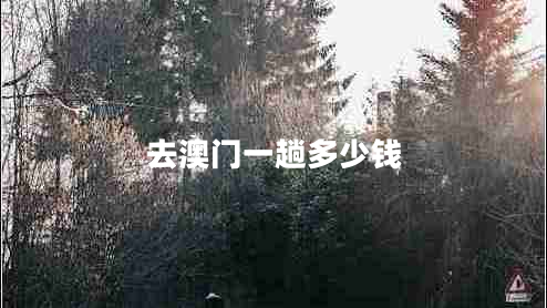 去澳門一趟多少錢 去澳門一趟多少錢