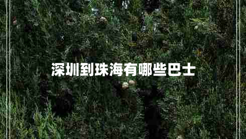 深圳到珠海有哪些巴士 深圳到珠海有哪些巴士