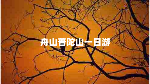 舟山普陀山一日游 舟山普陀山一日游