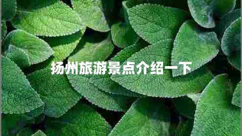 揚州旅游景點介紹一下 揚州旅游景點介紹一下