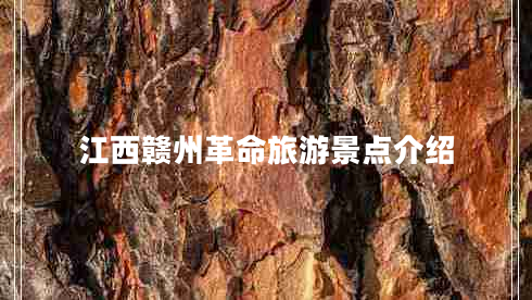 江西贛州革命旅游景點介紹