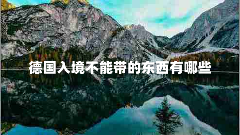 德國入境不能帶的東西有哪些