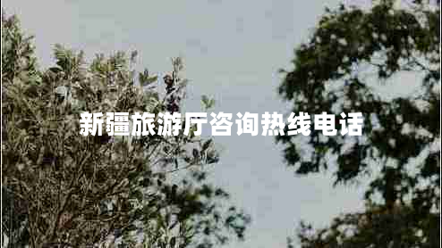 新疆旅游廳咨詢熱線電話