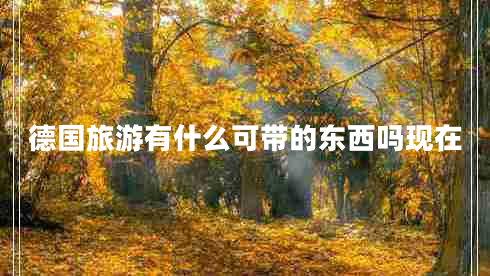 德國(guó)旅游有什么可帶的東西嗎現(xiàn)在 德國(guó)旅游有什么可帶的東西嗎現(xiàn)在