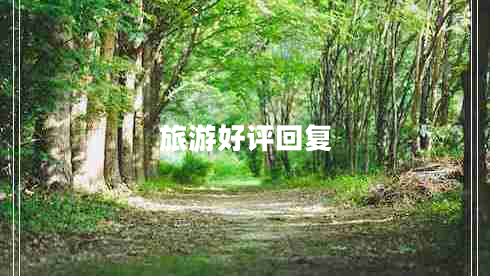 旅游好評回復(fù)
