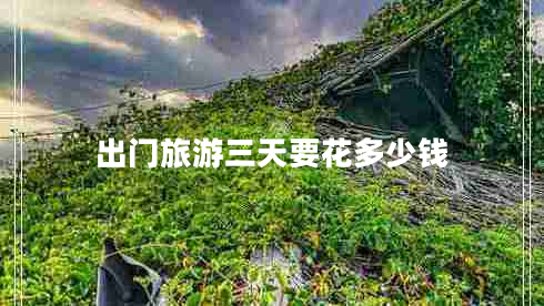 出門(mén)旅游三天要花多少錢(qián)
