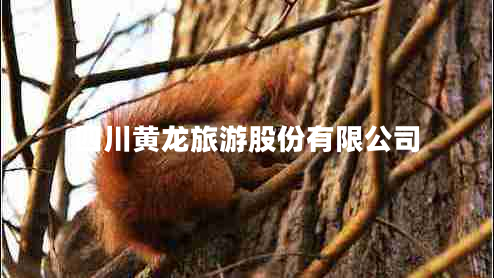 四川黃龍旅游股份有限公司