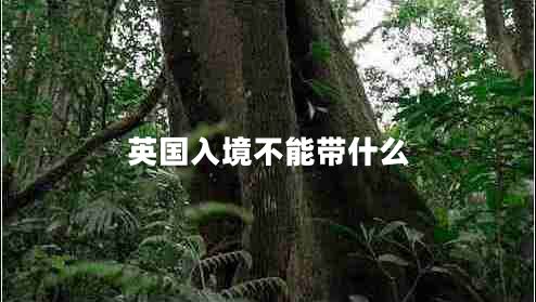 英國入境不能帶什么