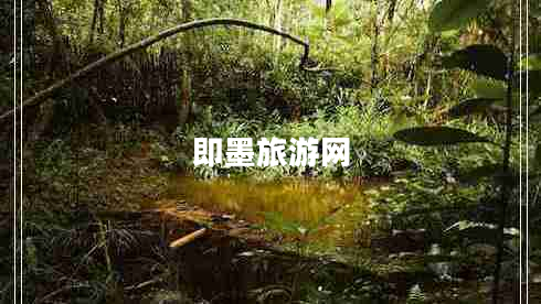 即墨旅游網(wǎng)