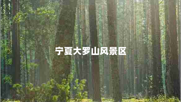 寧夏大羅山風(fēng)景區(qū)