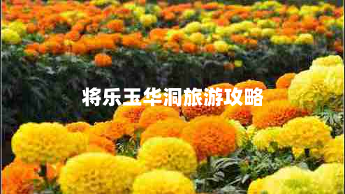 將樂(lè)玉華洞旅游攻略