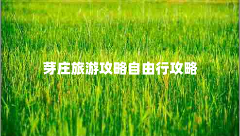 芽莊旅游攻略自由行攻略