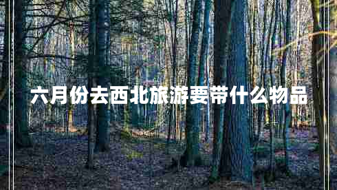 六月份去西北旅游要帶什么物品