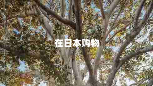 在日本購(gòu)物