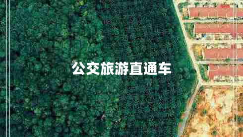 公交旅游直通車