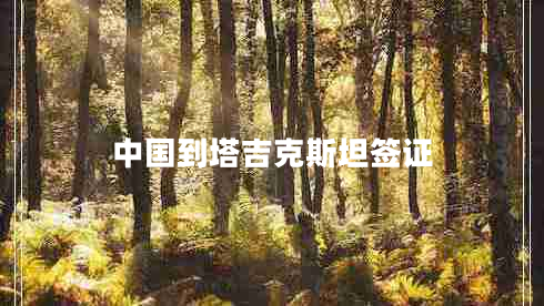 中國(guó)到塔吉克斯坦簽證