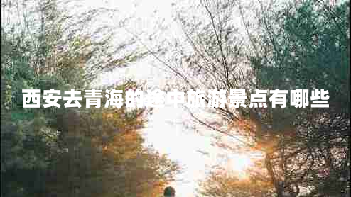 西安去青海的途中旅游景點有哪些