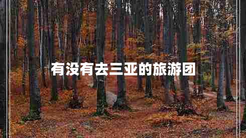有沒有去三亞的旅游團