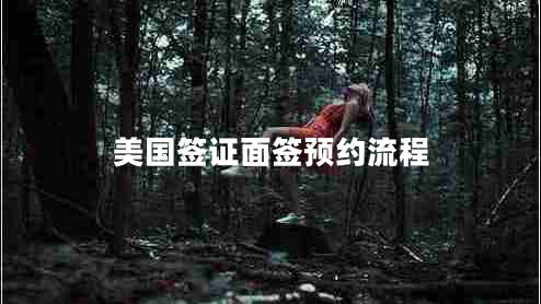 美國簽證面簽預(yù)約流程