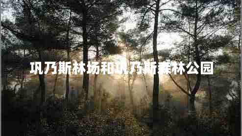 鞏乃斯林場(chǎng)和鞏乃斯森林公園