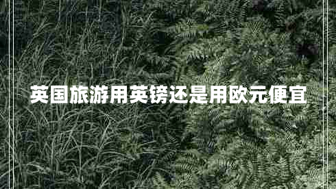 英國(guó)旅游用英鎊還是用歐元便宜