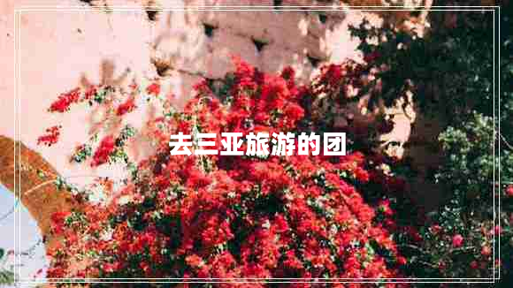 去三亞旅游的團(tuán)