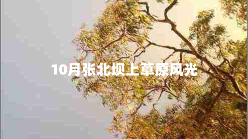 10月張北壩上草原風(fēng)光