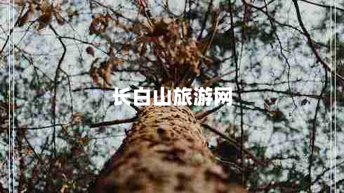 長白山旅游網(wǎng)