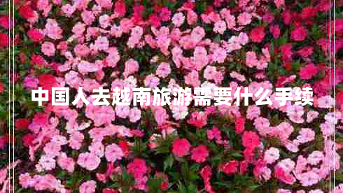 中國人去越南旅游需要什么手續(xù)
