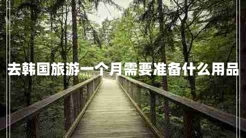 去韓國旅游一個月需要準(zhǔn)備什么用品 去韓國旅游一個月需要準(zhǔn)備什么用品