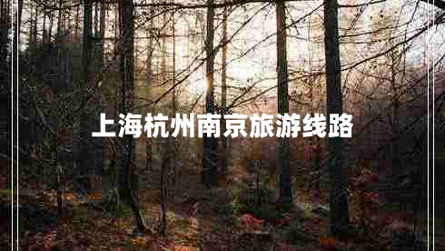 上海杭州南京旅游線路 上海杭州南京旅游線路