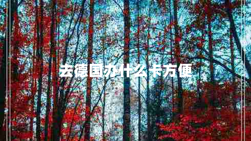 去德國辦什么卡方便 去德國辦什么卡方便