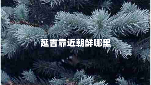 延吉靠近朝鮮哪里