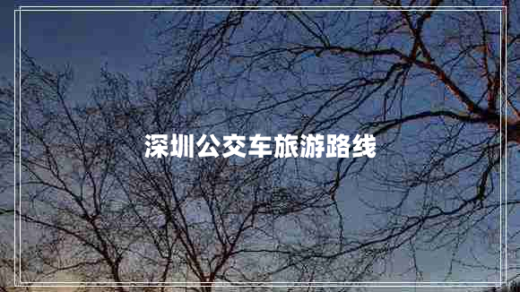 深圳公交車旅游路線 深圳公交車旅游路線