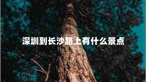 深圳到長沙路上有什么景點 深圳到長沙路上有什么景點