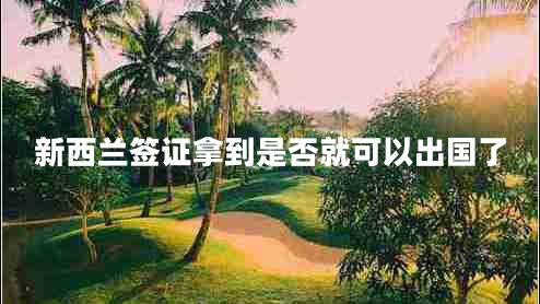 新西蘭簽證拿到是否就可以出國(guó)了 新西蘭簽證拿到是否就可以出國(guó)了