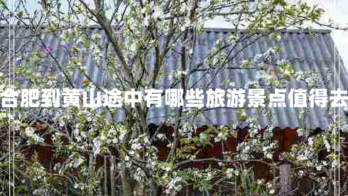 合肥到黃山途中有哪些旅游景點值得去 合肥到黃山途中有哪些旅游景點值得去