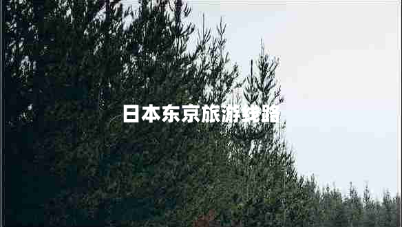 日本東京旅游線路