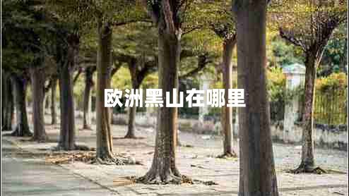 歐洲黑山在哪里