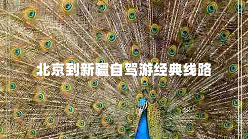 北京到新疆自駕游經(jīng)典線路